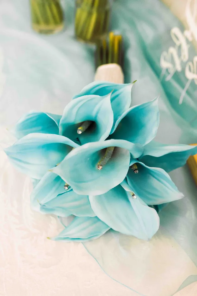 Blue Lilies